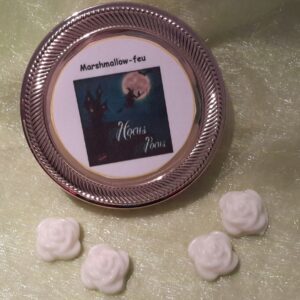 Fondants Hocus Pocus