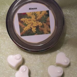 Fondants mimosa-Mimose