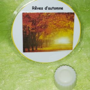 Fondants Rêves d'automne-Herbst Traum