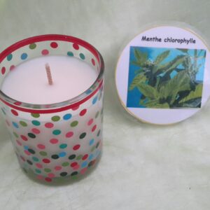 Pot PL100 menthe chlorophylle