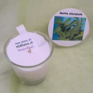 Pot menthe