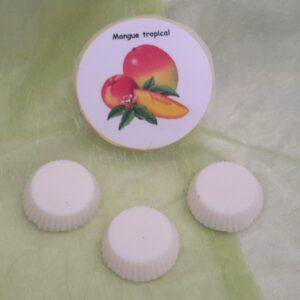 Fondants mangue tropical-Tropische Mango
