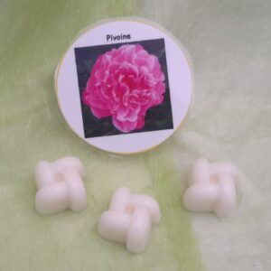 Fondants pivoine-Pfingstrosen