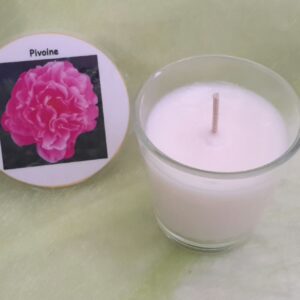 Pot pivoine