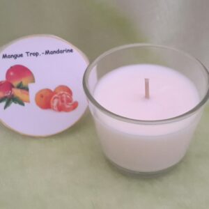 Galej mangue tropicale-mandarine