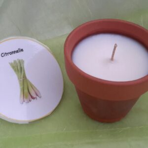 Pot terre cuite moyen citronnelle