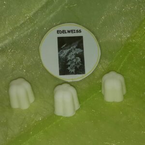 Fondants edelweisse