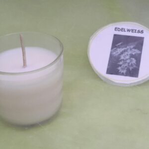 Pot PL50 edelweiss