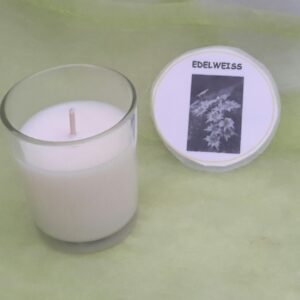 Pot PL60 edelweiss