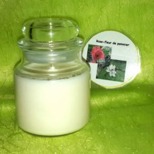 Jarre rose et fleur de pommier