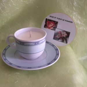 T80 rose et fleur de pommier