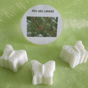 Fondants pin des Landes - 12g