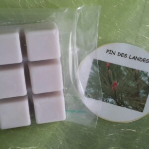 Fondants pin des Landes - plaquette