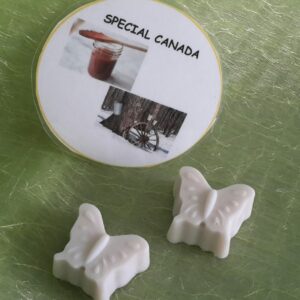 Fondants special Canada - 16g