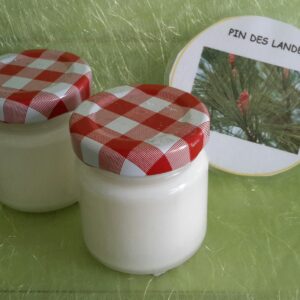 Pot C30 pin des landes