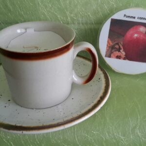 T60 pomme cannelle