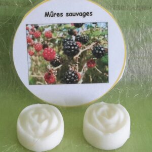 Fondants mûres sauvages