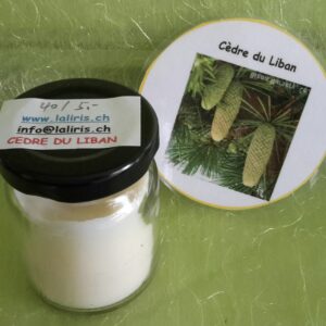 Pot C30 cèdre du Liban