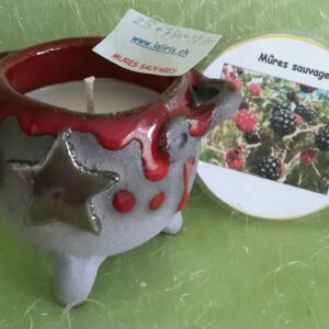 Chaudron mures sauvages