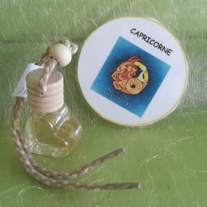 Diff. auto capricorne